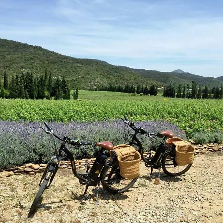 Farm stay El Recer De Masia Serra