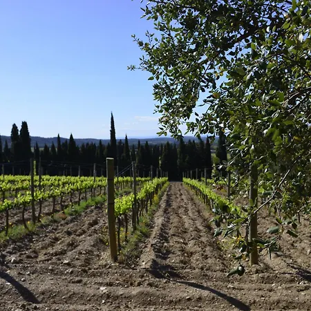 Farm stay El Recer De Masia Serra *