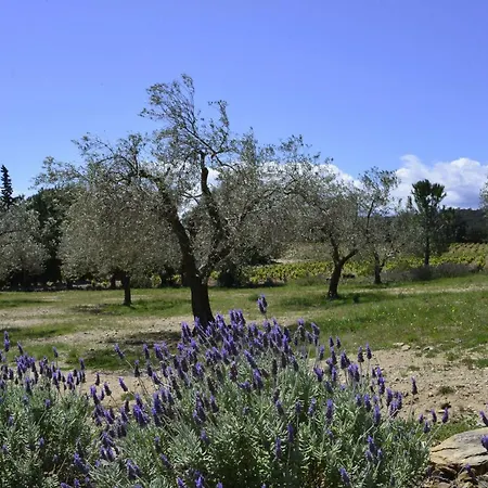 El Recer De Masia Serra Feriegård Cantallops