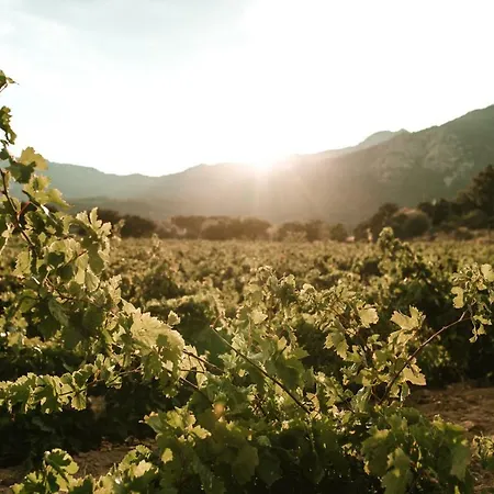 El Recer De Masia Serra Cantallops