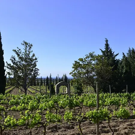 El Recer De Masia Serra *